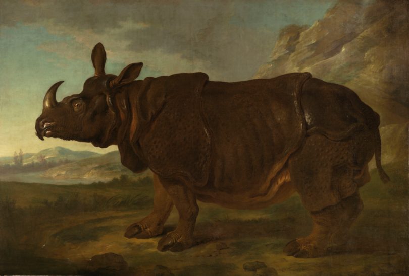 Berühmt ist das eindrucksvolle, mit 3 mal 4,5 Metern lebensgroße Gemälde „Claras“ von Jean-Baptiste Oudry (1686–1755) im Staatlichen Museum Schwerin, das – nachdem es 150 Jahre eingerollt in einem Depot gelegen hatte – mithilfe der Getty-Stiftung restauriert und seit 2007 wieder ausgestellt werden konnte. © Wikimedia Commons