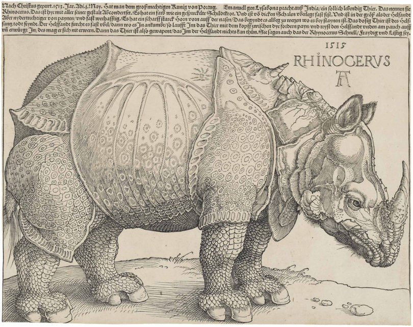 Bis zu 5000 Exemplare könnten es gewesen sein, die von Albrecht Dürers (1475–1528) „Rhinocerus“ gedruckt wurden – verteilt auf acht Zustände, mal mit, mal ohne Text. Bei Christie’s kletterte der 1515 entstandene Holzschnitt am 29. Januar 2013 auf 720.000 Dollar. © Christie’s, New York