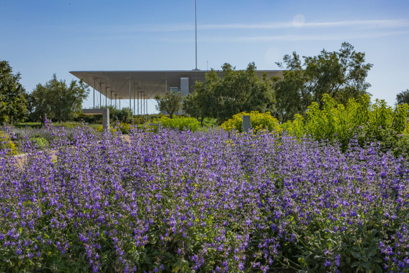 Stavros Niarchos Park Gärten