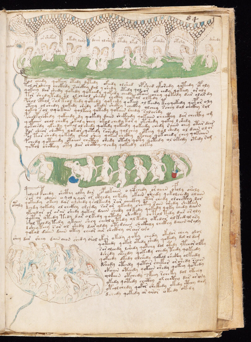 Voynich Manuskript anatomische Zeichnungen Mittelalter