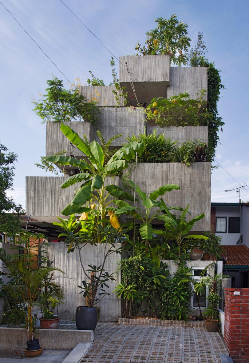 Planter Box House Malaysia Architektur Tropenmoderne