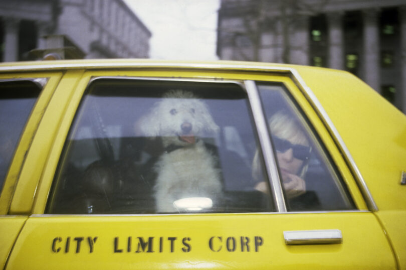 „Teri with her dog in a taxi, New York“ (1987) © Nan Goldin