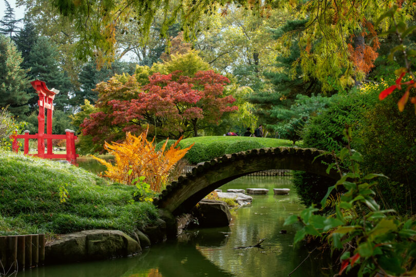 Brooklyn Botanic Garden. © Michael Stewart/Courtesy of Brooklyn Botanic Garden