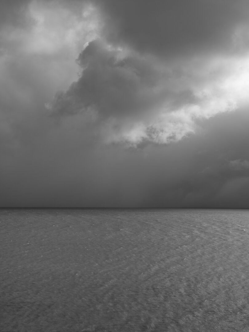 Die Fotokünstlerin Loredana Nemes erkundet in „Graubaum und Himmelmeer“ den Buchenwald auf Rügen, ein Naturraum, der auch Caspar David Friedrich prägte. Die Serie ist bis 21. Juni bei Hartmann Projects in Stuttgart zu sehen