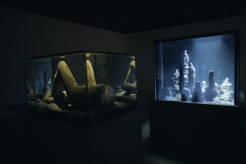 Pierre Huyghe, (von links nach rechts) „Abyssal Plane“, 2015, Collezione La Gaia, Busca—Italia, „Circadian Dilemma (el Dia del Ojo)“, 2017, Privatsammlung, Deutschland. Installationsansicht, „Pierre Huyghe. Liminal“, 2024, Punta della Dogana, Venezia. Ph. Ola Rindal