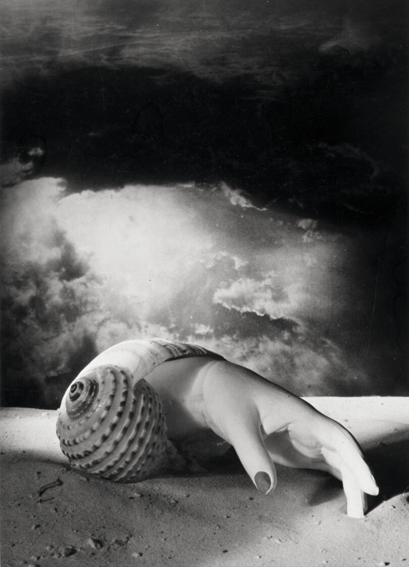 Die Französin Dora Maar brachte in Fotografien wie der Montage „Ohne Titel (Hand-Muschel)“ von 1934 das Surreale zum Ausdruck