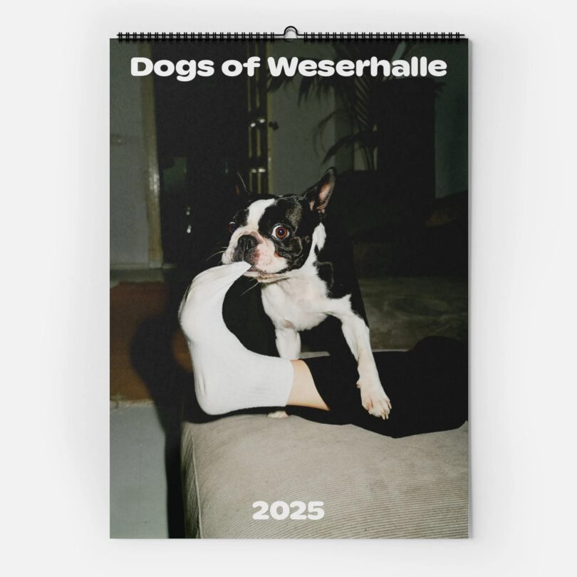 Dogs of Weserhalle Kalender